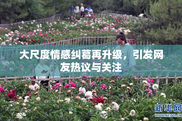 大尺度情感纠葛再升级，引发网友热议与关注