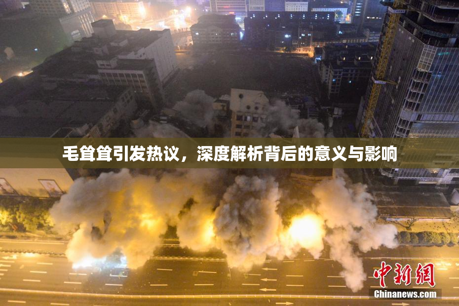 毛耸耸引发热议，深度解析背后的意义与影响