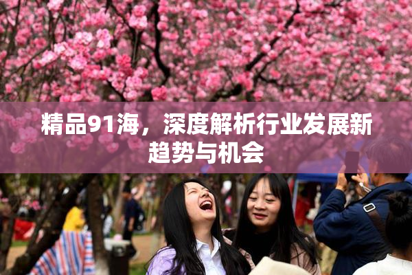 精品91海，深度解析行业发展新趋势与机会