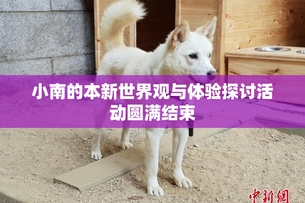 小南的本新世界观与体验探讨活动圆满结束