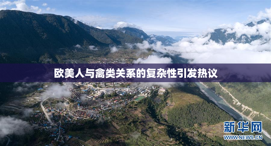 欧美人与禽类关系的复杂性引发热议