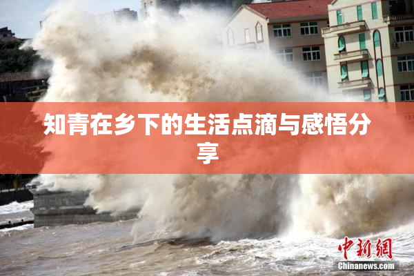 知青在乡下的生活点滴与感悟分享