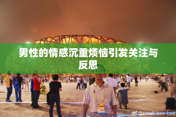 男性的情感沉重烦恼引发关注与反思