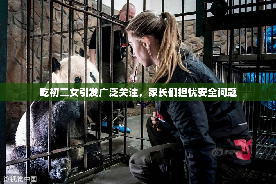 吃初二女引发广泛关注，家长们担忧安全问题