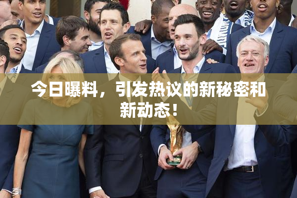 今日曝料，引发热议的新秘密和新动态！