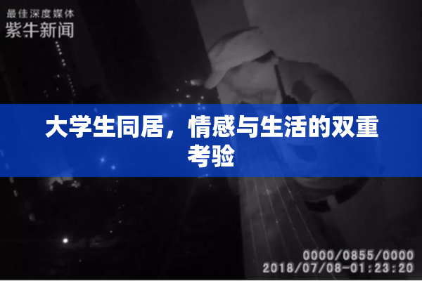 大学生同居，情感与生活的双重考验