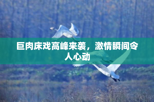 巨肉床戏高峰来袭，激情瞬间令人心动
