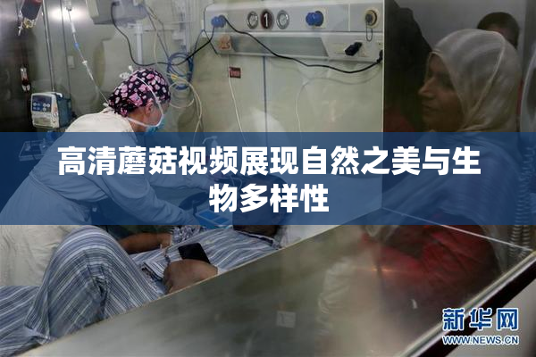 高清蘑菇视频展现自然之美与生物多样性
