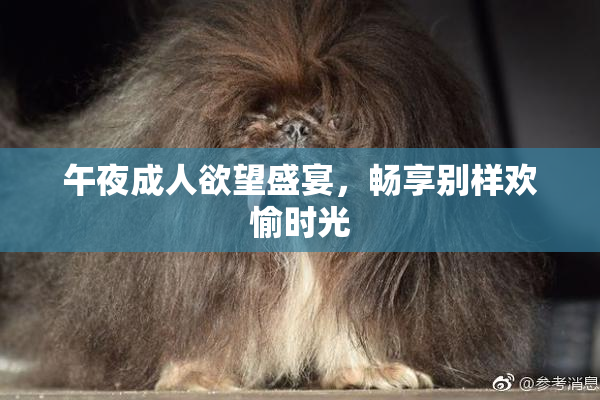 午夜成人欲望盛宴，畅享别样欢愉时光