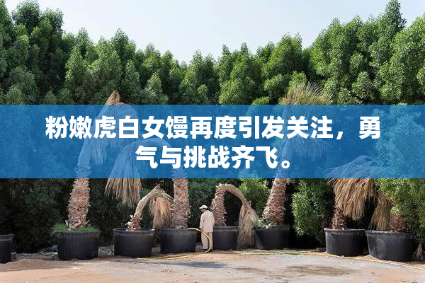 粉嫩虎白女馒再度引发关注，勇气与挑战齐飞。