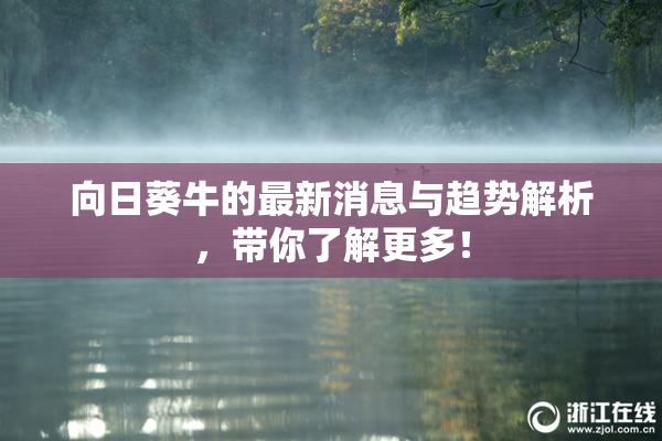 向日葵牛的最新消息与趋势解析，带你了解更多！