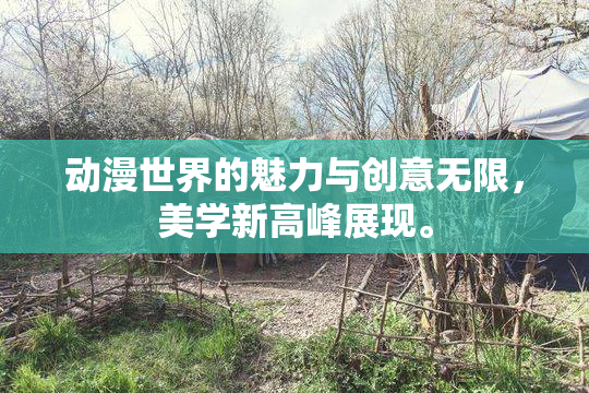动漫世界的魅力与创意无限，美学新高峰展现。