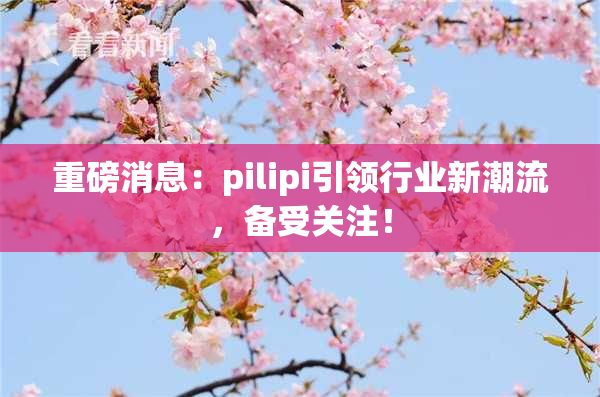 重磅消息：pilipi引领行业新潮流，备受关注！