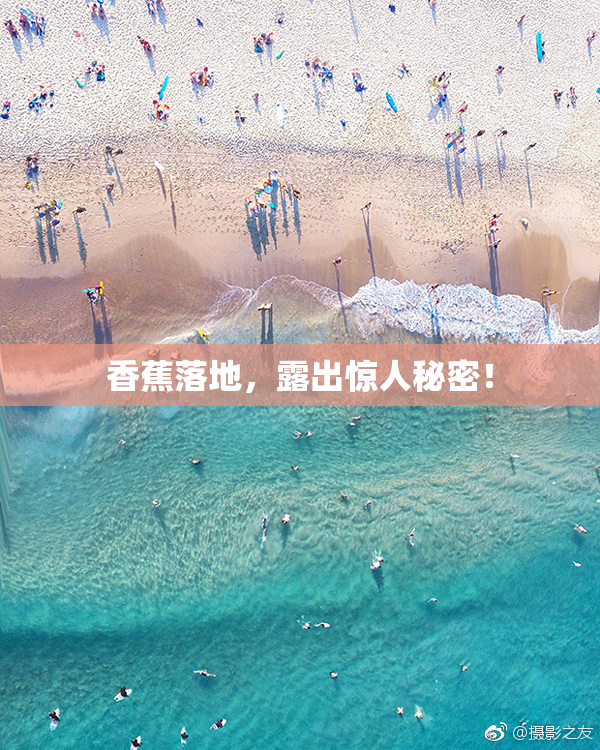 香蕉落地，露出惊人秘密！