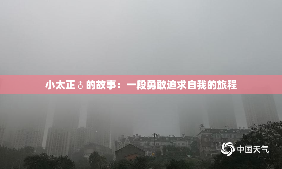小太正♂的故事：一段勇敢追求自我的旅程
