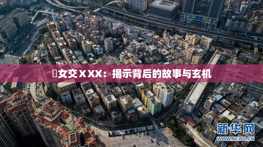 乣女交ⅩXX：揭示背后的故事与玄机