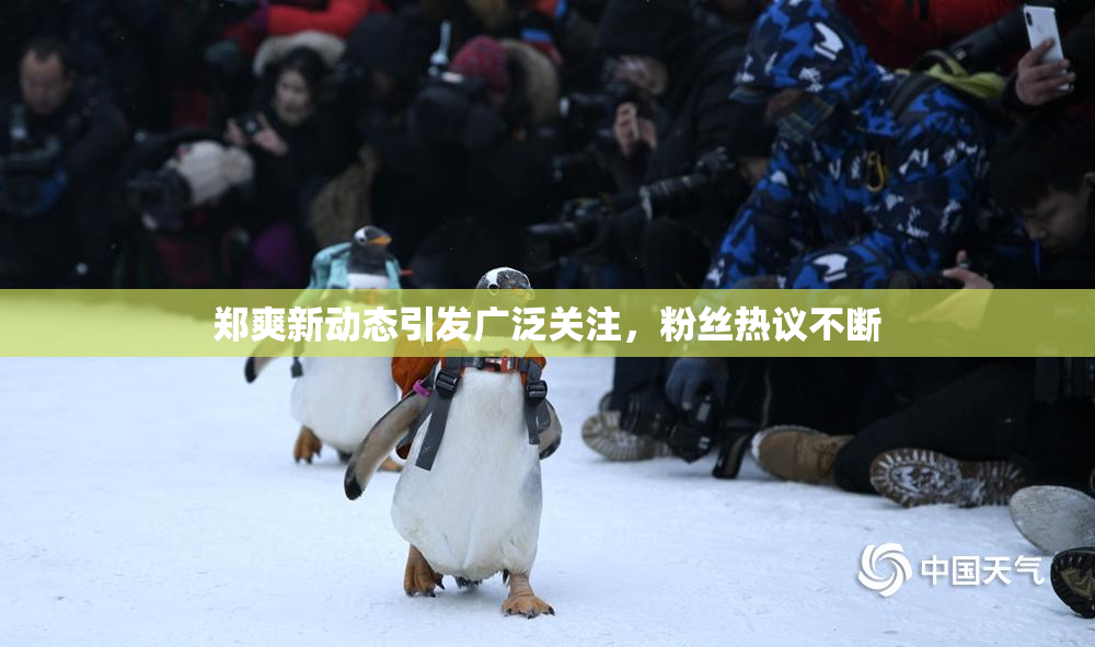 郑爽新动态引发广泛关注，粉丝热议不断