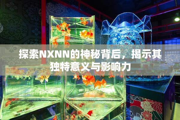 探索NXNN的神秘背后，揭示其独特意义与影响力