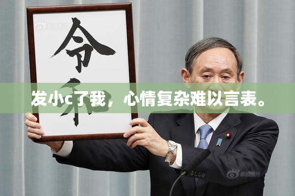 发小c了我，心情复杂难以言表。