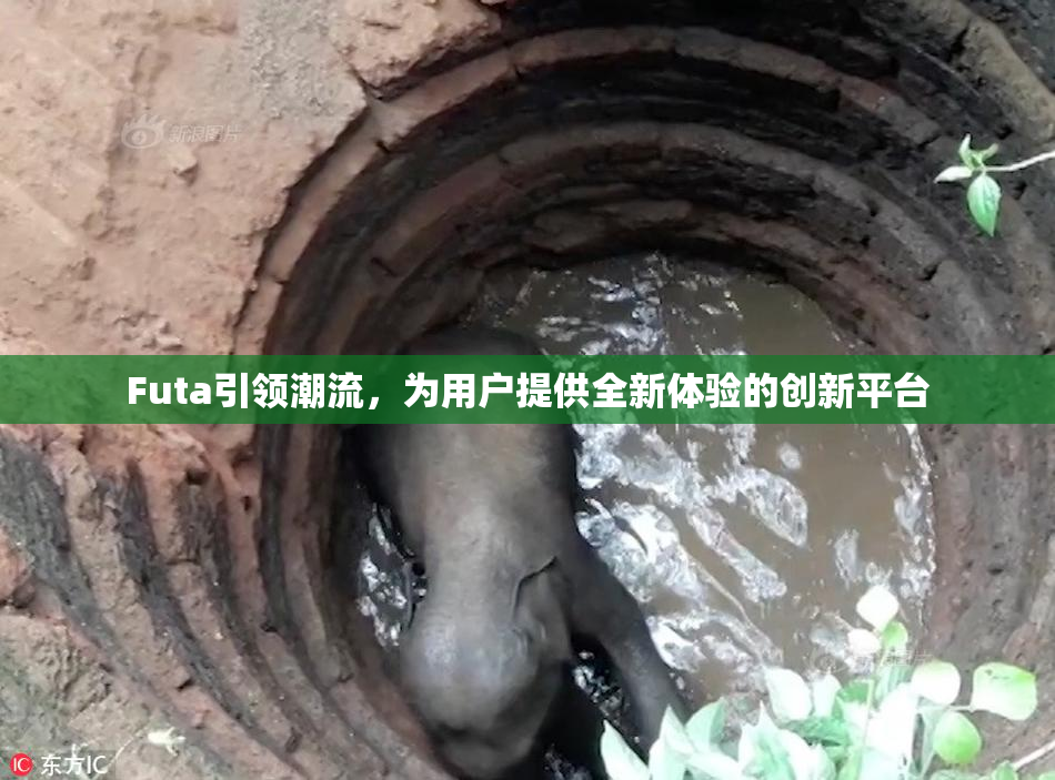 Futa引领潮流，为用户提供全新体验的创新平台