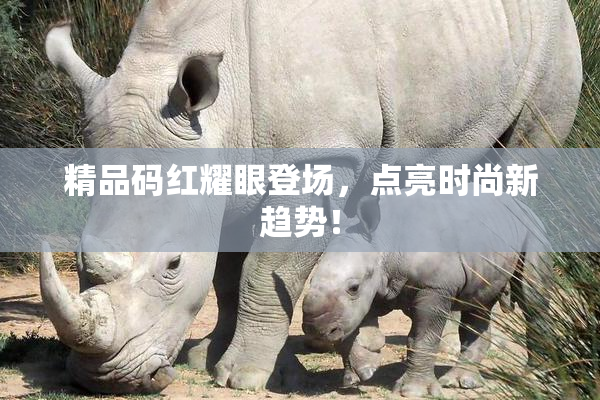 精品码红耀眼登场，点亮时尚新趋势！