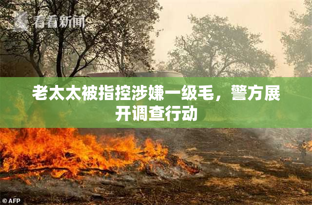 老太太被指控涉嫌一级毛，警方展开调查行动