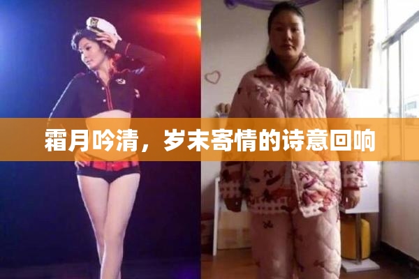霜月吟清，岁末寄情的诗意回响
