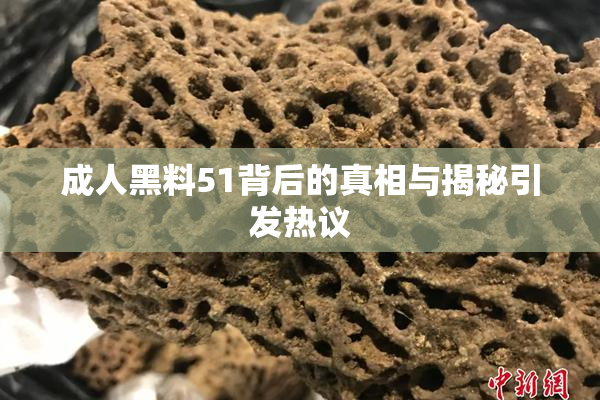成人黑料51背后的真相与揭秘引发热议