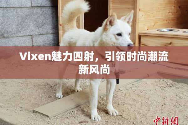 Vixen魅力四射，引领时尚潮流新风尚