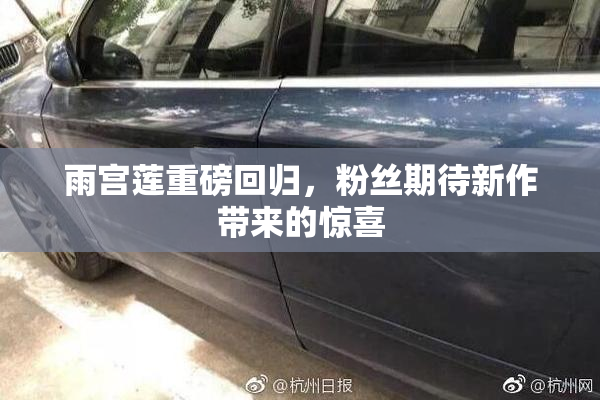 雨宫莲重磅回归，粉丝期待新作带来的惊喜