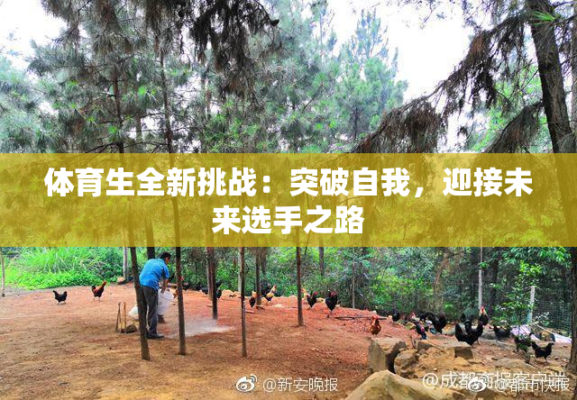 体育生全新挑战：突破自我，迎接未来选手之路