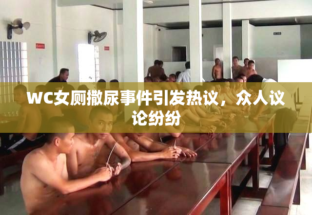 WC女厕撒尿事件引发热议，众人议论纷纷