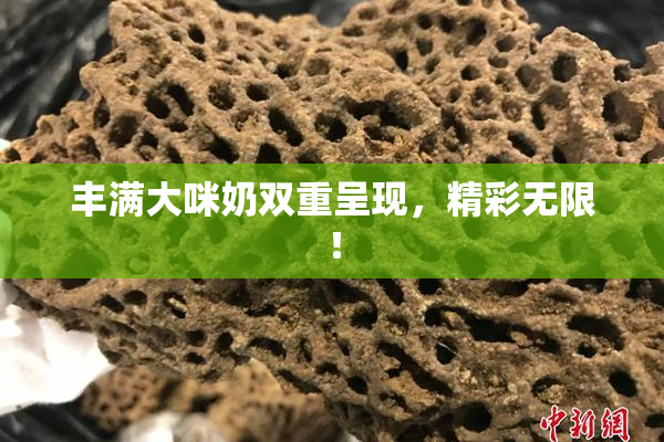 丰满大咪奶双重呈现，精彩无限！