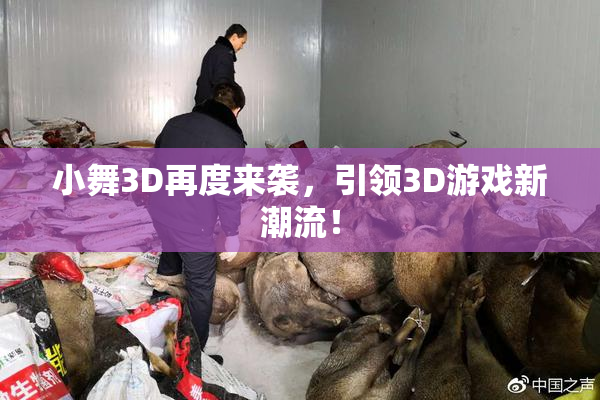 小舞3D再度来袭，引领3D游戏新潮流！
