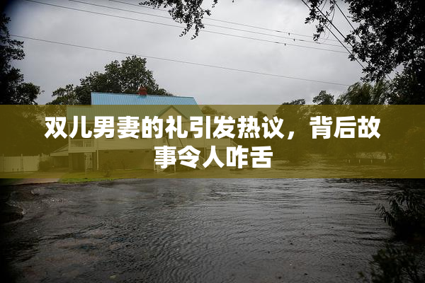 双儿男妻的礼引发热议，背后故事令人咋舌