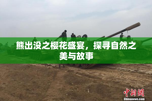 熊出没之樱花盛宴，探寻自然之美与故事