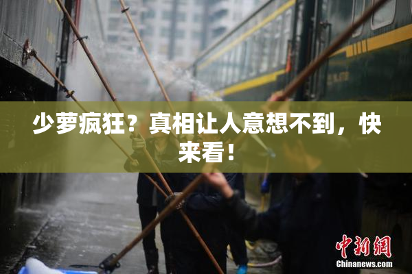 少萝疯狂？真相让人意想不到，快来看！