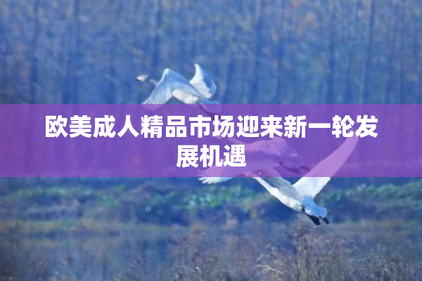 欧美成人精品市场迎来新一轮发展机遇