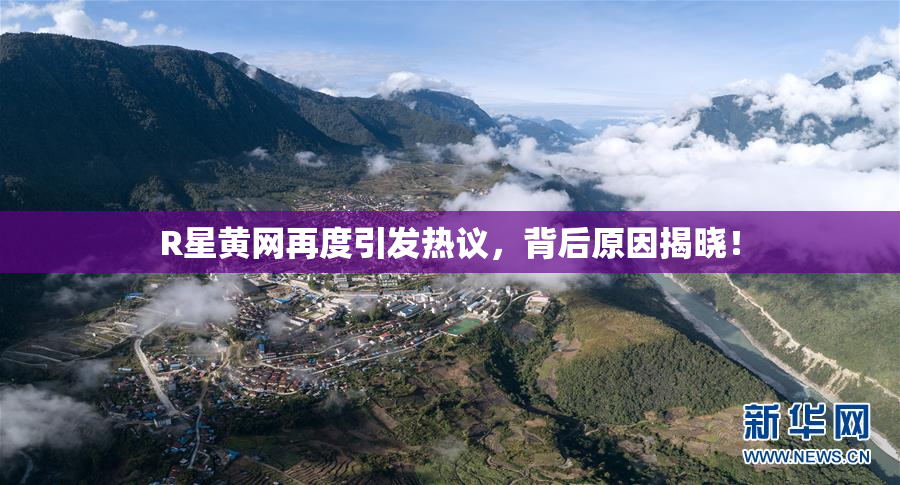 R星黄网再度引发热议，背后原因揭晓！