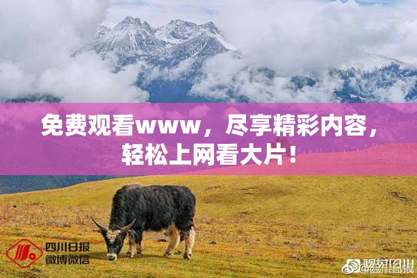 免费观看www，尽享精彩内容，轻松上网看大片！