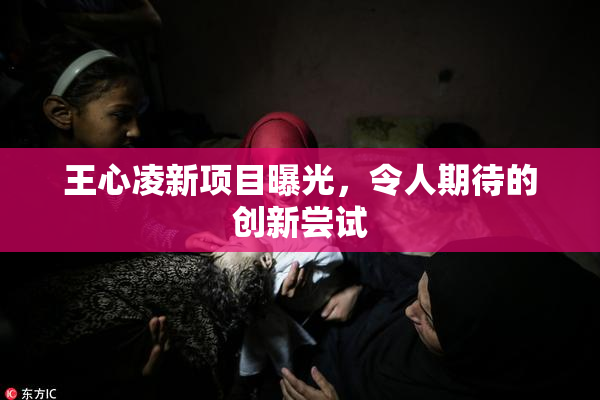 王心凌新项目曝光，令人期待的创新尝试