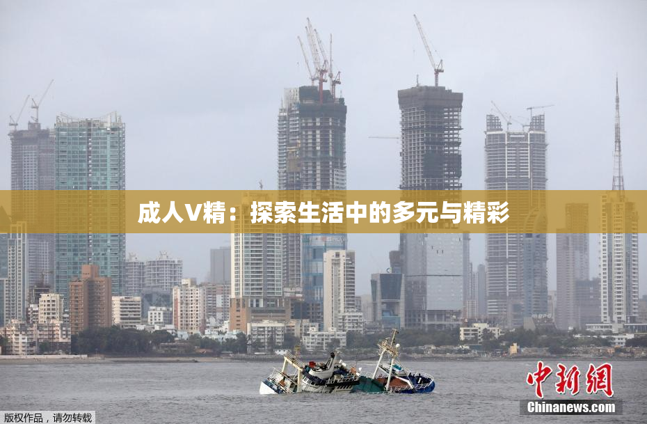 成人V精：探索生活中的多元与精彩