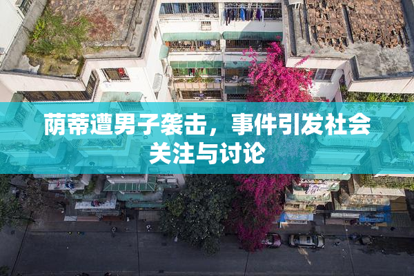 荫蒂遭男子袭击，事件引发社会关注与讨论