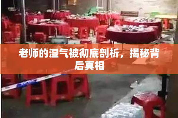 老师的湿气被彻底剖析，揭秘背后真相