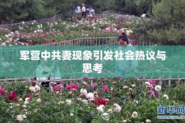 军营中共妻现象引发社会热议与思考