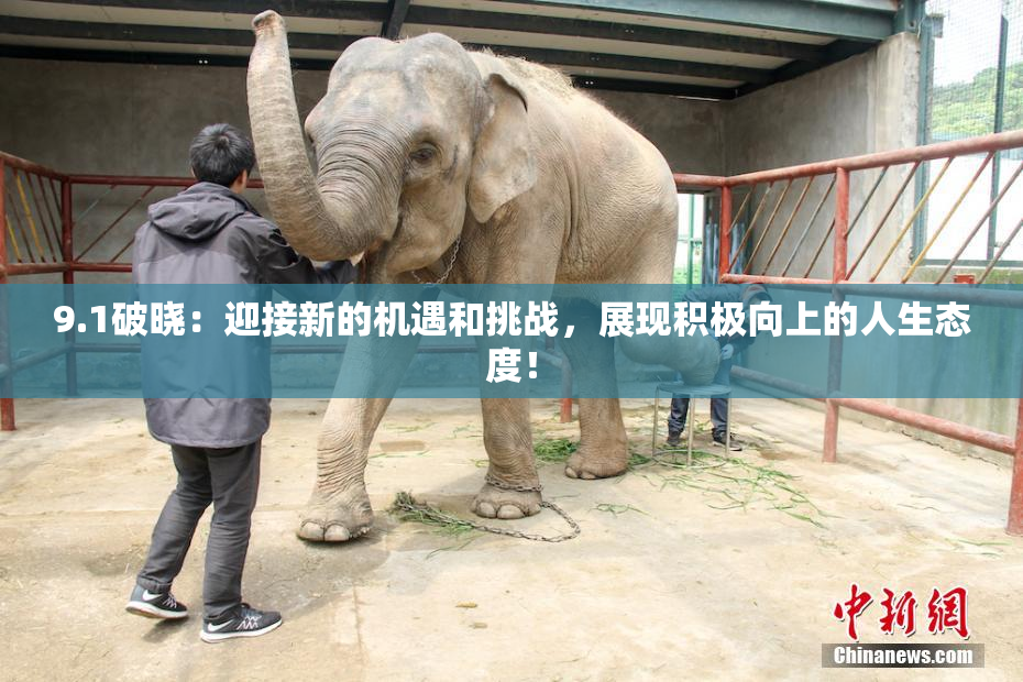 9.1破晓：迎接新的机遇和挑战，展现积极向上的人生态度！