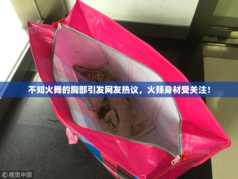 不知火舞的胸部引发网友热议，火辣身材受关注！