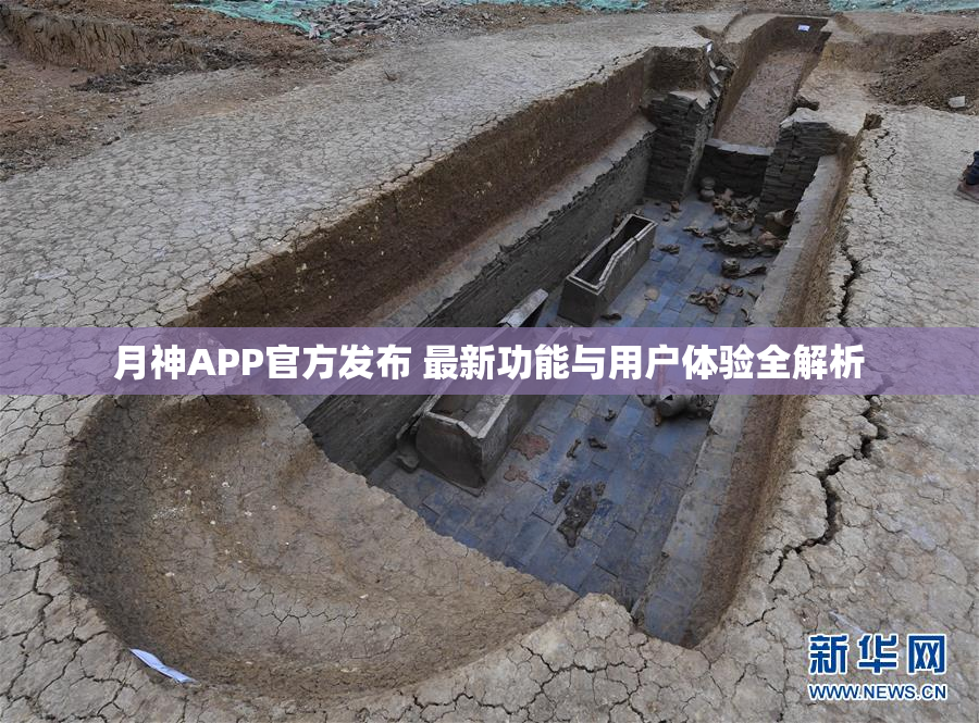 月神APP官方发布 最新功能与用户体验全解析