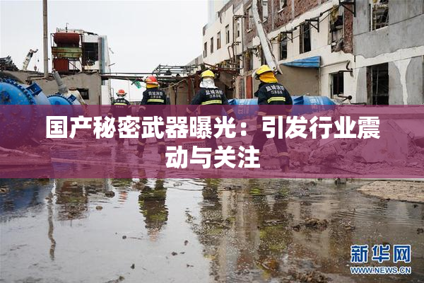 国产秘密武器曝光：引发行业震动与关注