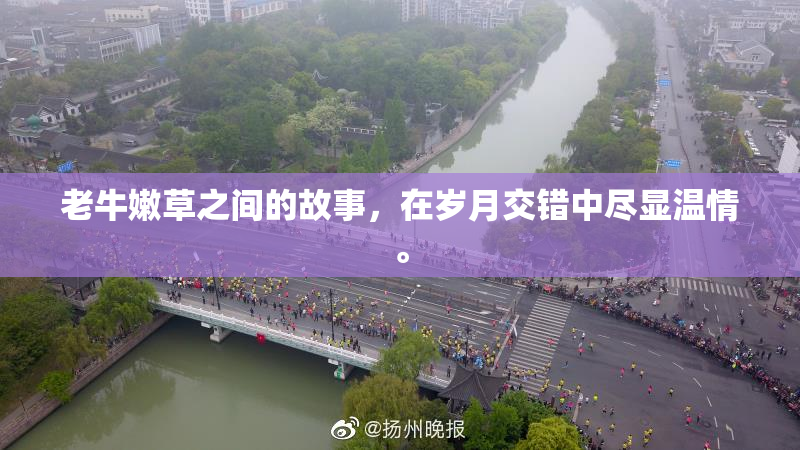 老牛嫩草之间的故事，在岁月交错中尽显温情。